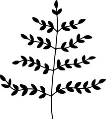Branch With Symmetrical Division Of Leaves Illustration