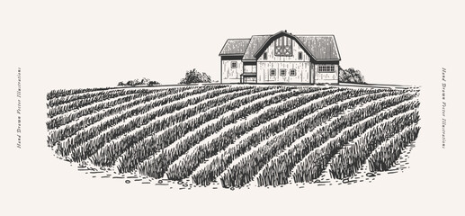 Landscape with a farmer's house and field. An old village house and a cultivated field with beds. Farmland in engraved vintage style.