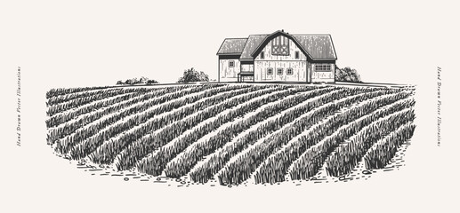 Landscape with a farmer's house and field. An old village house and a cultivated field with beds. Farmland in engraved vintage style. © KOSIM
