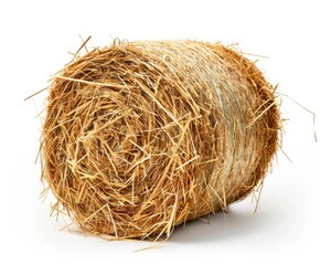 Bale of Hay Isolated on White Background - Single Straw Bale for Farming and Agriculture