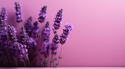 Purple Heather Floral Display - obrazy, fototapety, plakaty