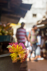 Local market in Havana city located in Old Havana town - Cuba