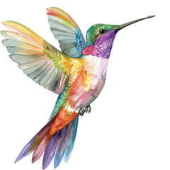 Watercolor Hummingbird Clipart isolated on white background