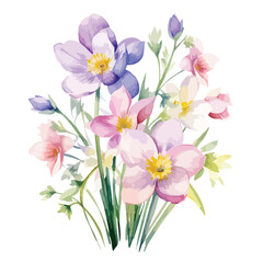 Watercolor Spring Flower Clipart isolated on white background