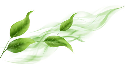 Fototapeta premium green leaves flying wave swirling motion abstract background, on white background.