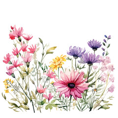 Watercolor Wildflowers Border Clipart