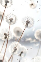 Soft and light spring background with Dandelions Generative Ai 
