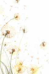 Obraz premium Soft and light spring background with Dandelions Generative Ai 