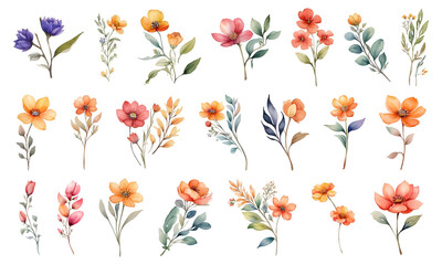 Watercolor wildflowers leaves pattern with bouquet of flowers