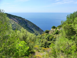 Fototapeta na wymiar Paysage naturel verdure et mer en Côte d'Azur