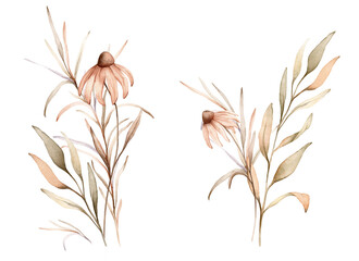 Watercolor bouquet botanical autumn illustration echinacea branches flowers and herbs. Autumn floral illustration. Hand painted drawing isolated on white background. Floral composition pastel color