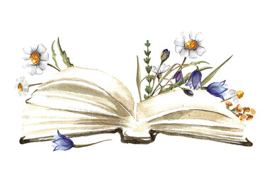 An open book in a brown cover with white pages lies surrounded by summer wildflowers of white chamomile, blue bells and green herbs. hand drawn watercolor illustration on white background for your des
