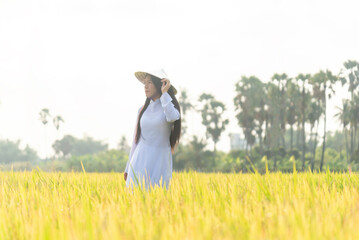 woman wearing ao dai vietnamese traditional dress walking in rice field