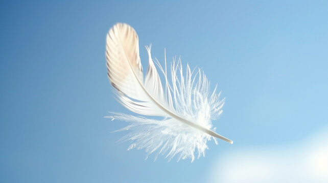 a feather in the air on blue sky background