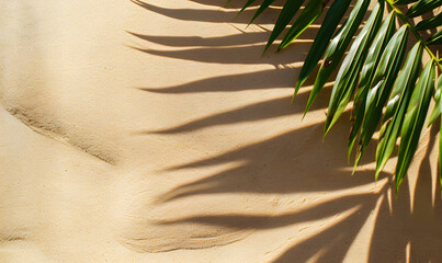 Top view tropical palm leaf with shadow on sandy beach, Generative AI