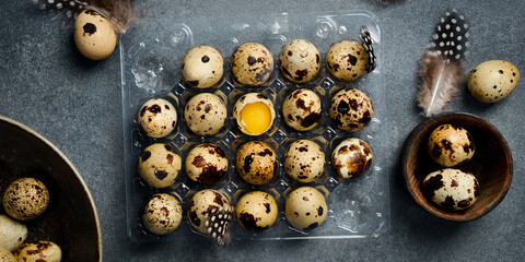 Plastic tray with quail eggs. Quail feathers. On a gray stone background. Top view.