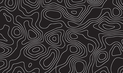 Topographic map patterns, topography line map, suitable for background design an any needs