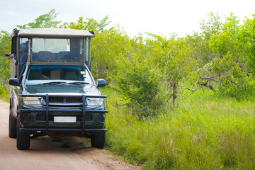 A 4x4 vehicle navigates down a dusty dirt road next to a lush, verdant green field in Kruger National Park, showcasing the rugged beauty of the natural surroundings.