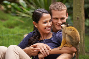 Monkey, animal and park with happy couple together for wildlife rescue, outdoor activity or...