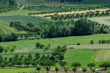 Vue sur un paysage rural au printemps, composé de champs, prés et vergers