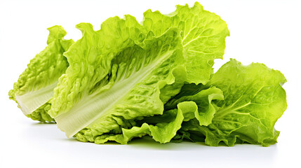 Green lettuce Isolated on white background