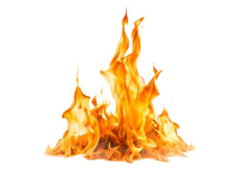 Fire flames isolated on white background