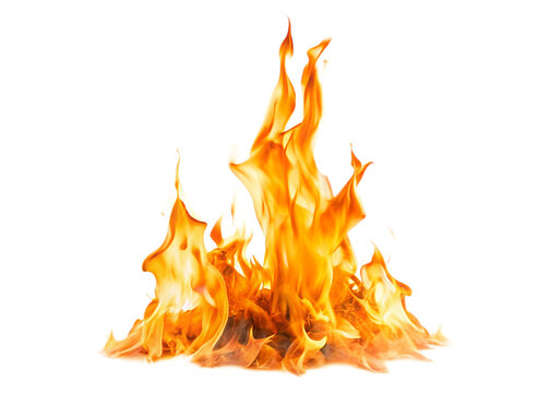 Fire flames isolated on white background