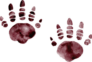 Dinosaur footprints . Watercolor painting illustration . © stockdevil