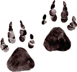 Dinosaur footprints . Watercolor painting illustration . © stockdevil