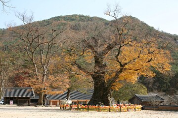 내소사