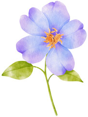 Purple flowers watercolor illustration