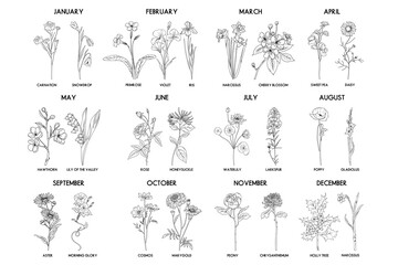 Birth month flower set, vector hand drawn isolated line art flowers and plants for greeting cards and invitations