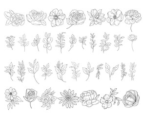 Botanical abstract line art illustration, hand drawn herbs, leaves, flowers and branches set, vector floral  hand drawn clipart