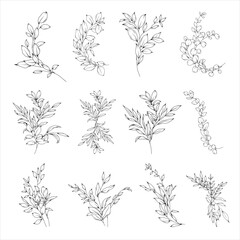 Floral vector set of greenery arrangements and bouquets, hand drawn wedding branches, herbs, minimalist botanical line art illustration, elegant compositions for invitation and save the date card - 757892666