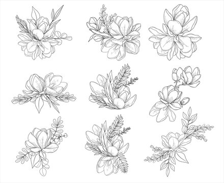 Floral vector set of magnolia arrangements and bouquets, hand drawn wedding branches, herbs, minimalist botanical line art illustration, elegant compositions for invitation and save the date card