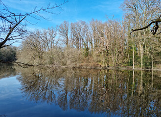 Obraz premium Rivière le Gesvres, La Chapelle-sur-Erdre, Loire-Atlantique, France