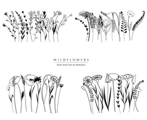 Botanical abstract line art compositions, minimal floral borders of hand drawn herbs, flowers, leaves and branches; vector illustration - 757895299