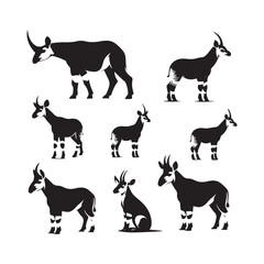 Okapi vector silhouette: A Striking Silhouette Celebrating Nature's Unique Beauty in Vector Form.
