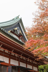 Fototapeta na wymiar 日本　滋賀県大津市にある延暦寺の東塔の大講堂と紅葉