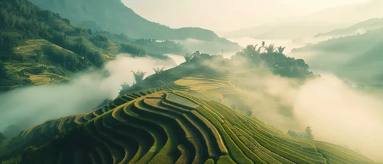 Papier Peint photo Rizières Misty morning unfolds over terraced rice fields in a serene valley.