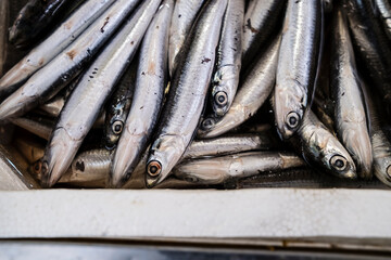 Details of fresh sardines in a market in rome 