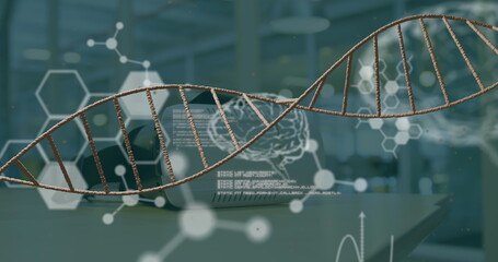 Image of human brains, scientific data processing and dna strand spinning