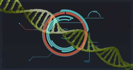 Image of processing circle over dna on black background
