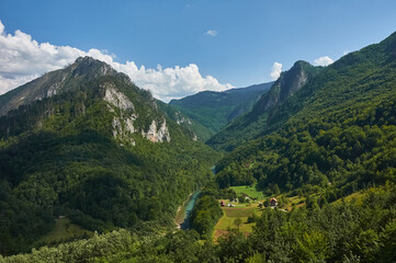 Picturesque canyon of the Tara river. Montenegro. Mountains surrounding the canyon. Forests on the...
