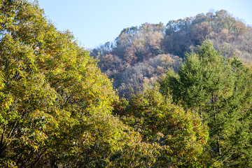 View of the autumn mountain