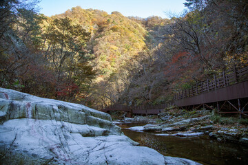 View of the autumn mountain with stream