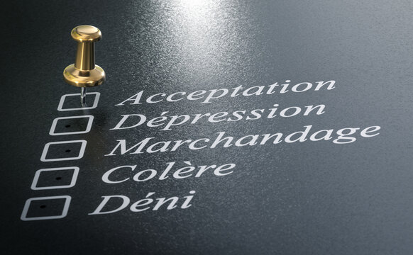 Les cinq &eacute;tapes du deuil - le d&eacute;ni, la col&egrave;re, le marchandage ainsi que la d&eacute;pression puis l'acceptation