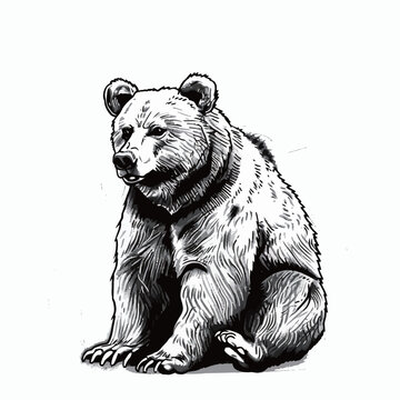 a black and white drawing of a bear