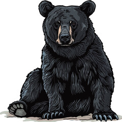 black and white illustration of a black bear