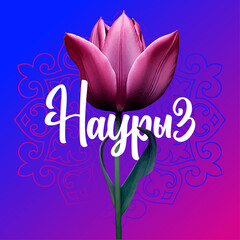 Postcard Nauryz, Holiday in Kazakhstan, stylish beautiful inscription, calligraphic text, March 22, chic background, flowers, gradient